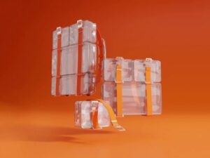 Structural Transparent Bag Designs : Maria Olhovnikova