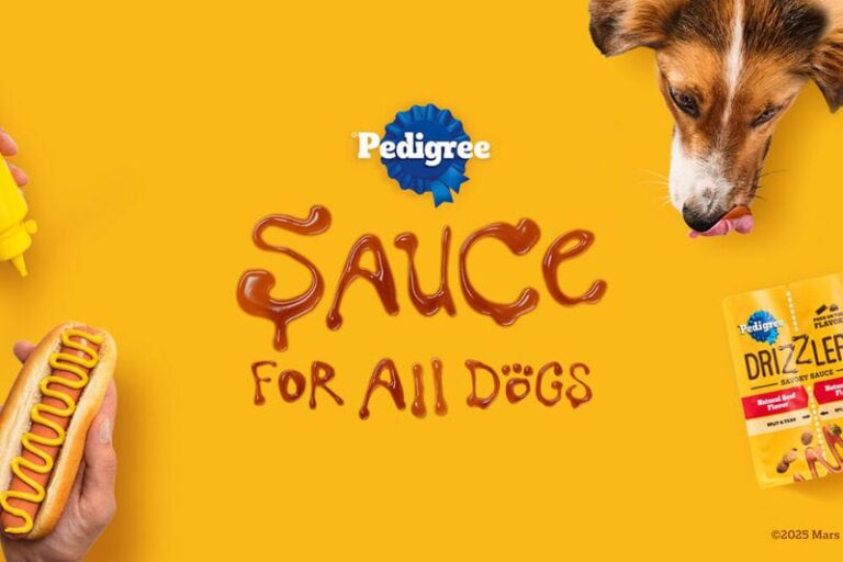 Dog-Friendly Kibble Sauces : pedigree 1