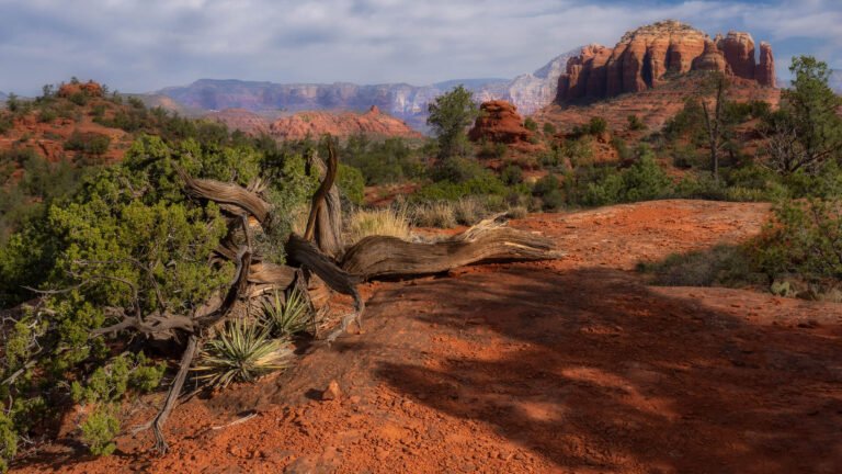 Forced perspective landscape photography – Photofocus