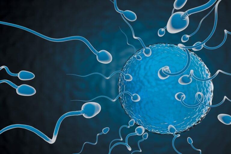 Wiggling Sperm Power a New Male Fertility Test