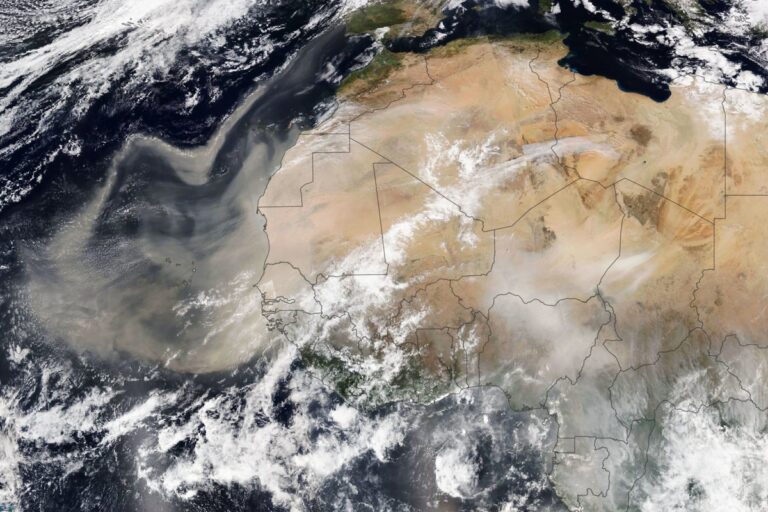 Sahara Dust Clouds Are Heading to Florida and Beyond