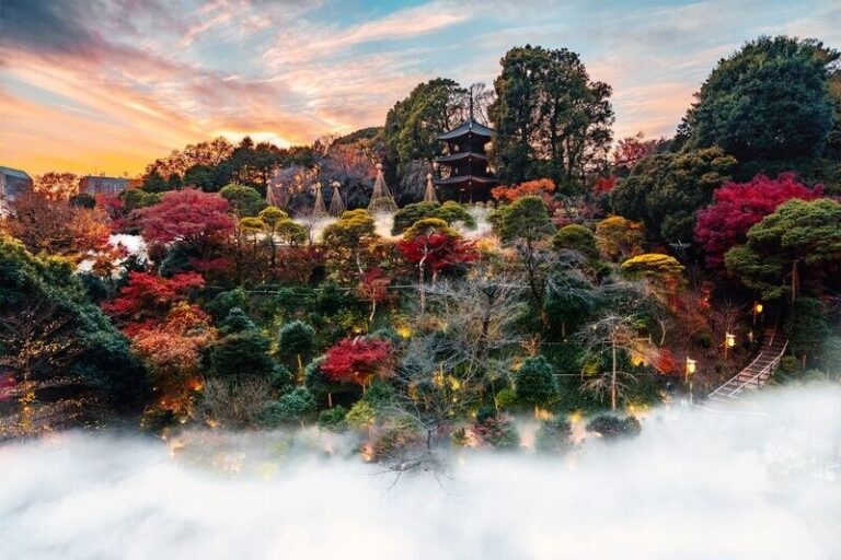 Seasonal Hospitality Programs : seven Seasons Program