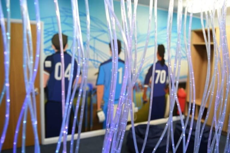 Cricket-Focused Sensory Rooms : specialized sensory room