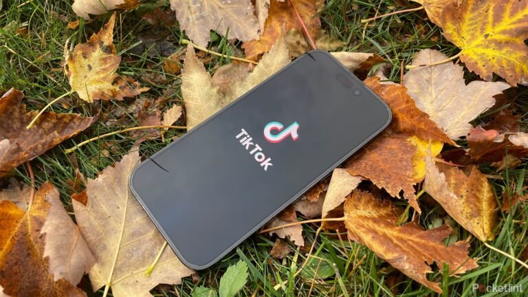 Ironically, TikTok may have found a cure for social media addiction