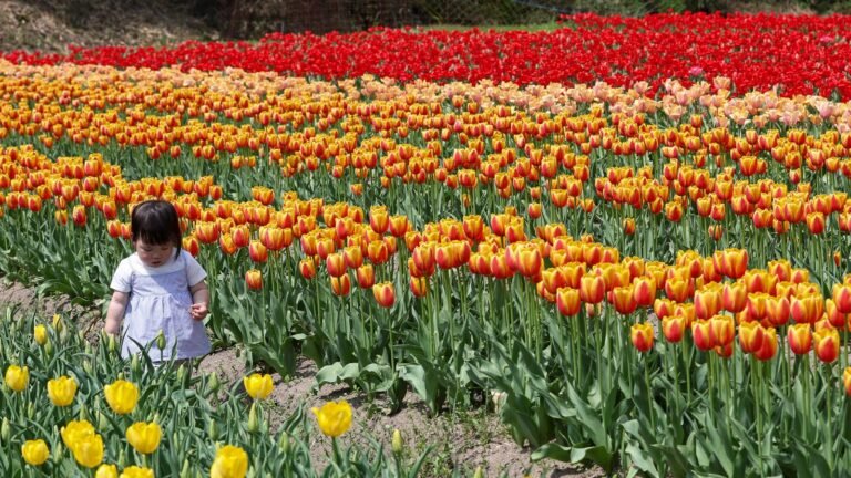 April 2025 was the planet’s 2nd-warmest April on record » Yale Climate Connections