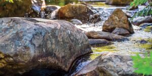Clean the Sky – Sustainability Target Approvals
