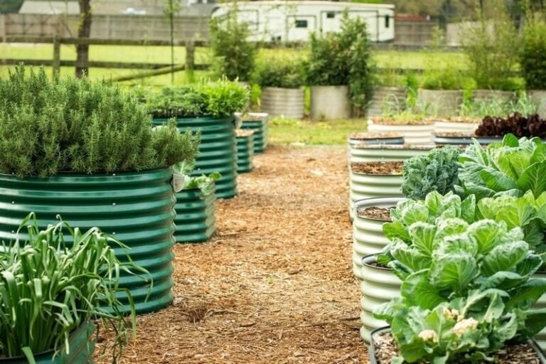 Clean the Sky – Home Gardening Solutions