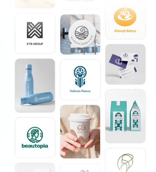 Brand Identity-Building Tools : Zoviz