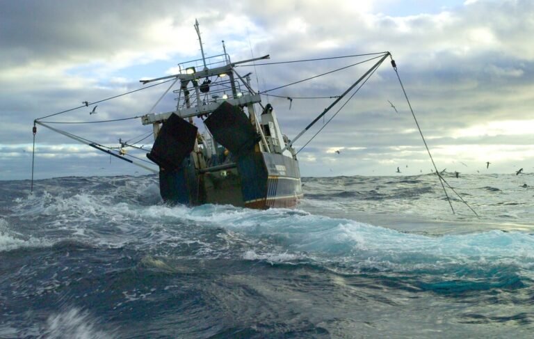 Bottom trawling continues to cause large scale destruction in the Pacific 
