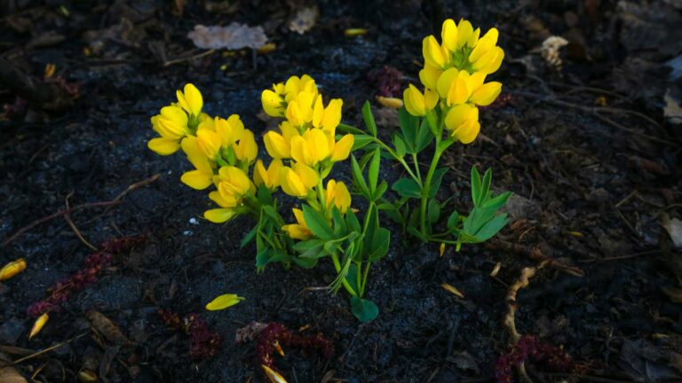 You deserve support, too » Yale Climate Connections