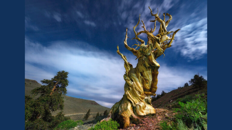 Your camera is good enough to create photos for NatGeo!