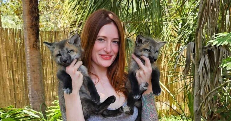 SaveAFox YouTuber Mikayla Raines’ Death at 29 Confirmed by Police