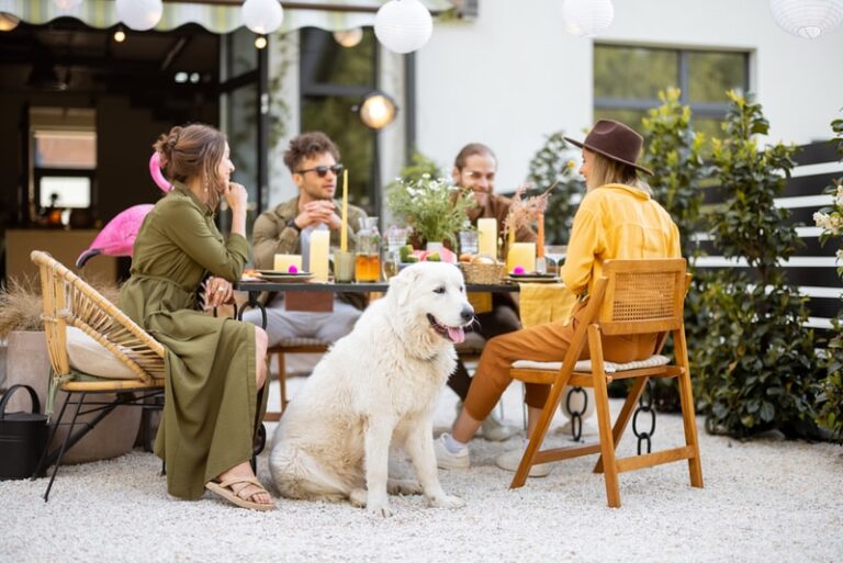 Dog-Friendly Patio Menus : beertown public house