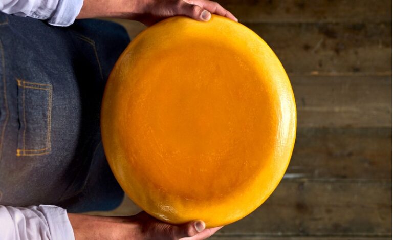 Sustainable Cheesemaking Cultures : CHOOZIT LIFT culture