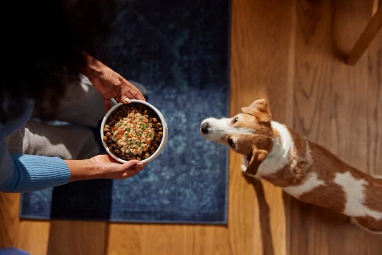 Fresh Pet Foods : Love Made Fresh