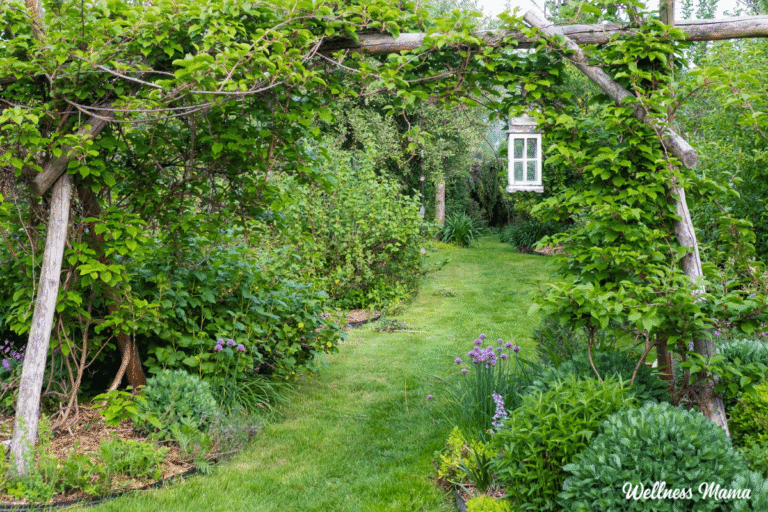 How To Transform Your Yard Into a Permaculture Paradise