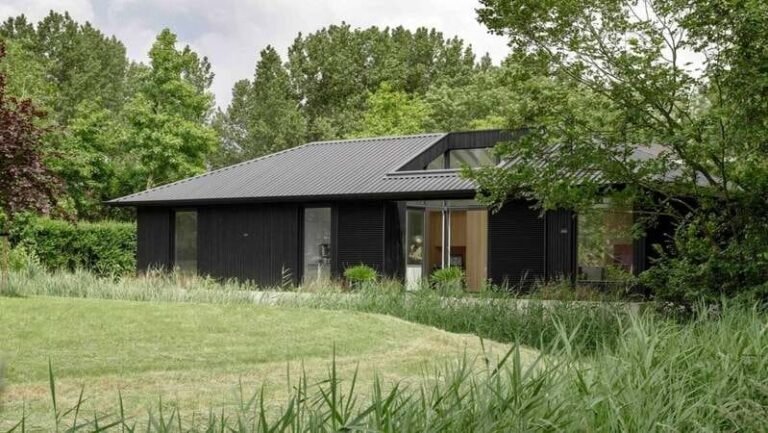 Black-Timber Overhanging Roof Buildings : senior shelter