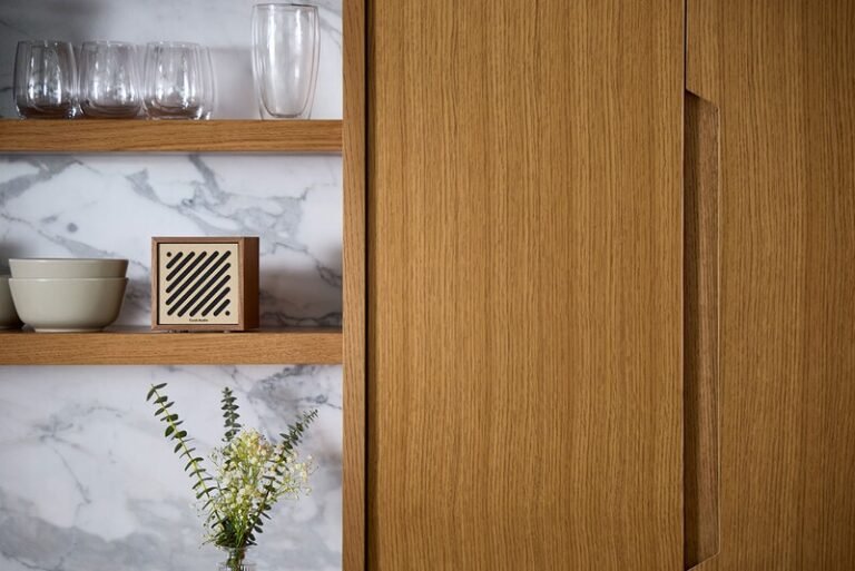 Sleek Visual Bluetooth Speakers : Tivoli Audio Boutique