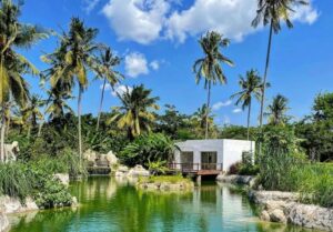 Clean the Sky – Carbon-Neutral East African Hotels