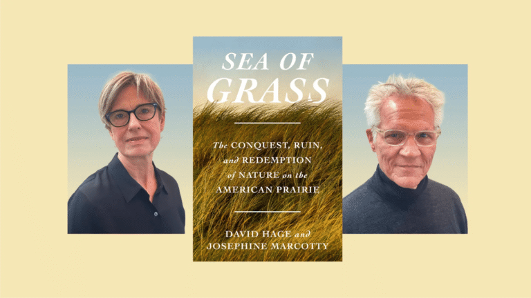 How America’s prairie was nearly destroyed — and why it should be restored » Yale Climate Connections