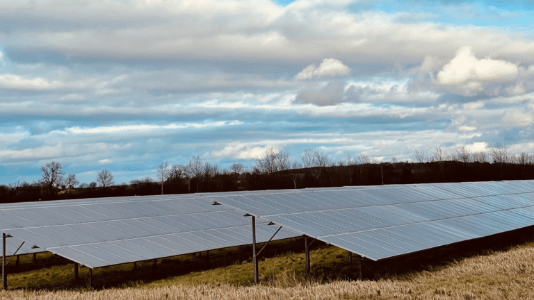 Solar arrays power a farm in Madison, Wisconsin » Yale Climate Connections