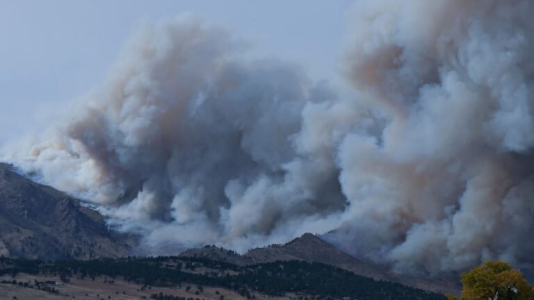 Smoke plume from January wildfire near L.A. carried lead for miles » Yale Climate Connections