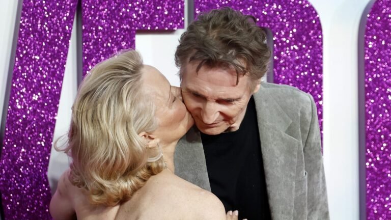 Pamela Anderson & Liam Neeson: Are They Dating?