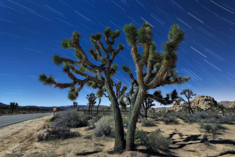 When do you do light painting during “stacked” star trails?