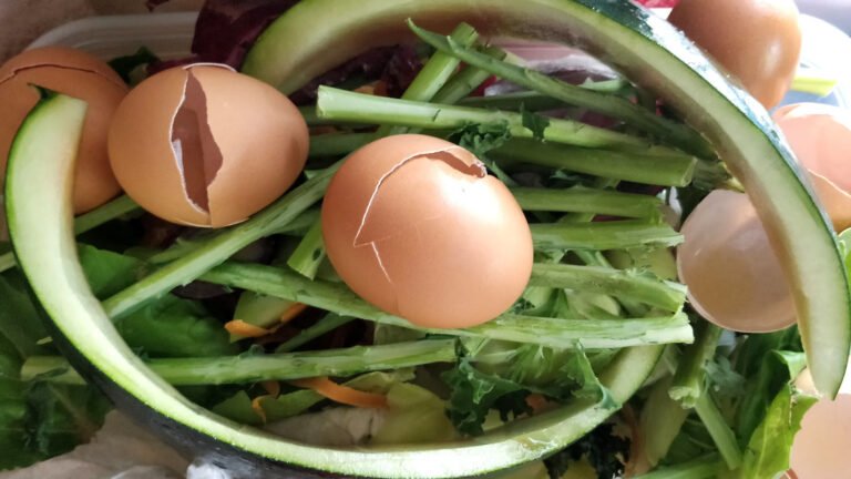DC’s smart bins offer 24-hour food waste drop-off » Yale Climate Connections
