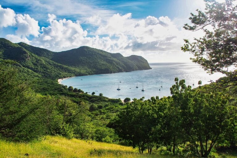 One year after Hurricane Beryl, the Union Island community is trying to recover what was lost » Yale Climate Connections
