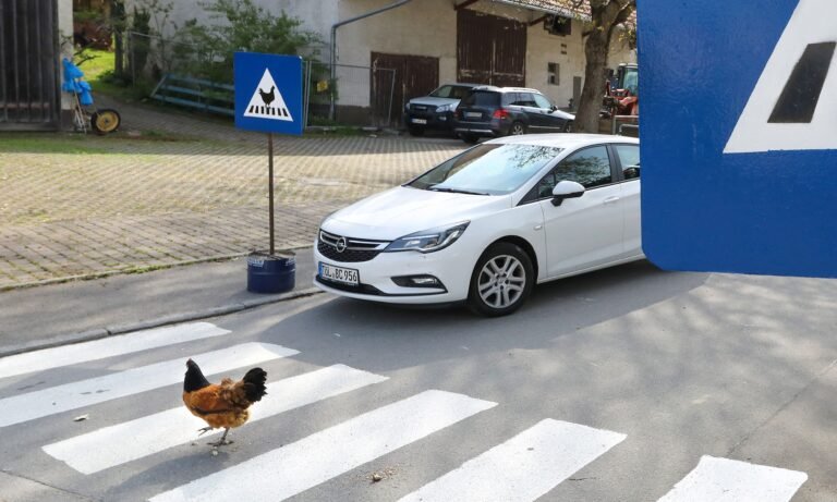 Woman Allegedly Attacks Driver After Chicken Feud