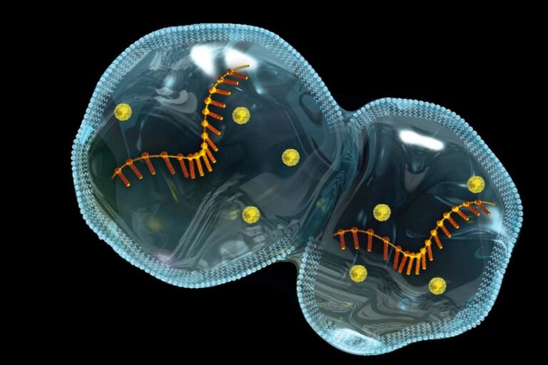Protocells self-assembling on micrometeorites hint at origins of life