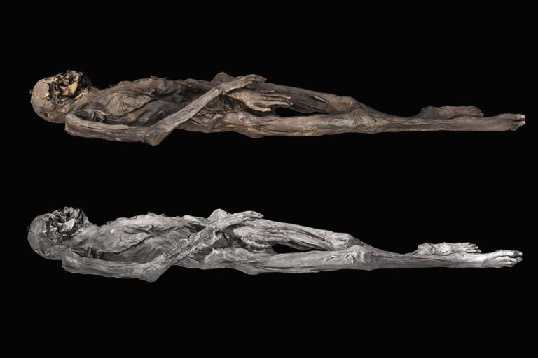 Ancient Siberian ice mummy is covered in ‘really special’ tattoos