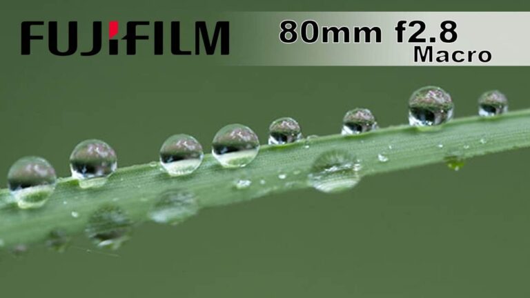 Is the Fujifilm 80mm f/2.8 the best macro lens?