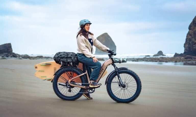 Tech-Packed Fat Tire eBikes : Aventon Aventure 3