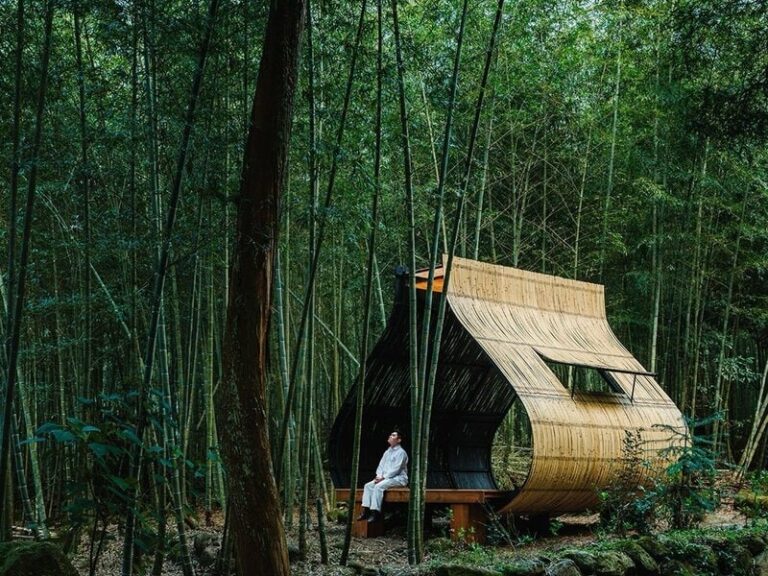 Forest Bamboo Cabins : bamboo cabin