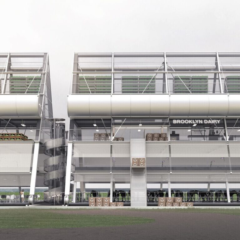 Ambitious Urban Revitalization Proposals : Brooklyn Dairy Project
