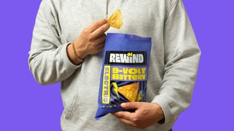 Battery-Flavored Chip Snacks : buzz in