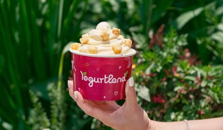 Senior Series Frozen Yogurts : Cheesecake froyo