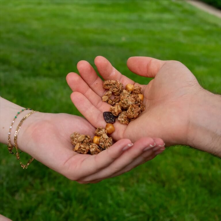 Crunchy Chickpea Granolas : Chickpea Granola crunch mix