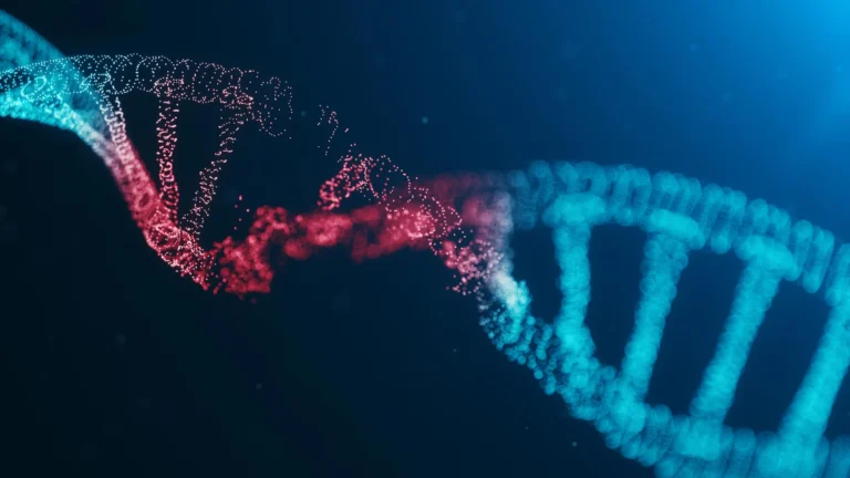 The fatal mutation that lets cancer outsmart the human immune system