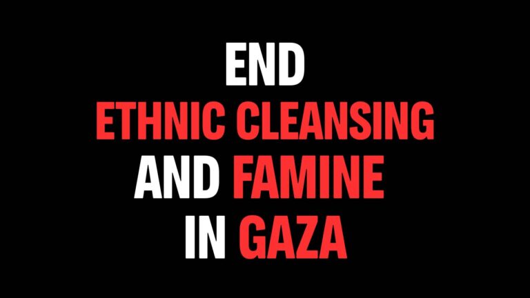 Greenpeace demands international accountability in the face of ethnic cleansing and famine in Gaza