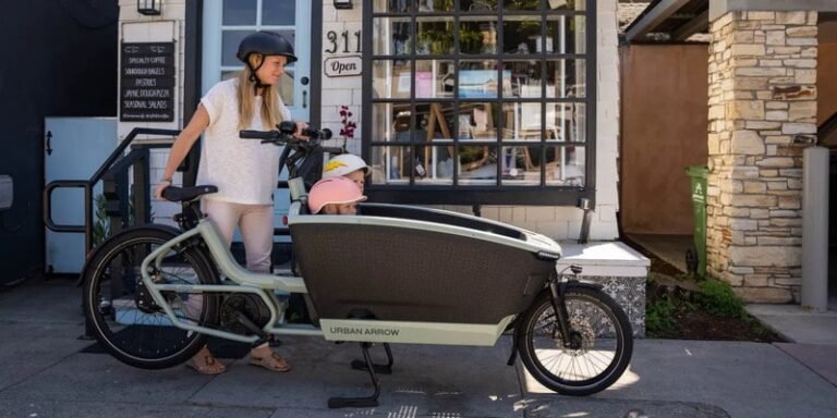 Clean the Sky – Family-Ready Cargo eBikes