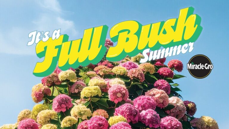 Flora-Inspired Body Autonomy Campaigns : Full Bush Summer
