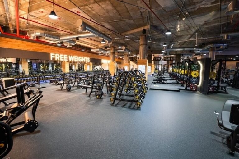 Sizable Modern Gym Facilities : GymNation