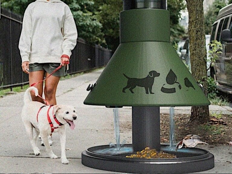 Urban Pet Hydration Stations : Jalashay
