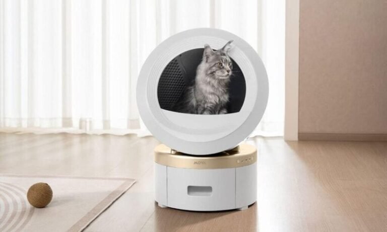 Air-Purifying Litter Boxes : MOVA self-cleaning litter box