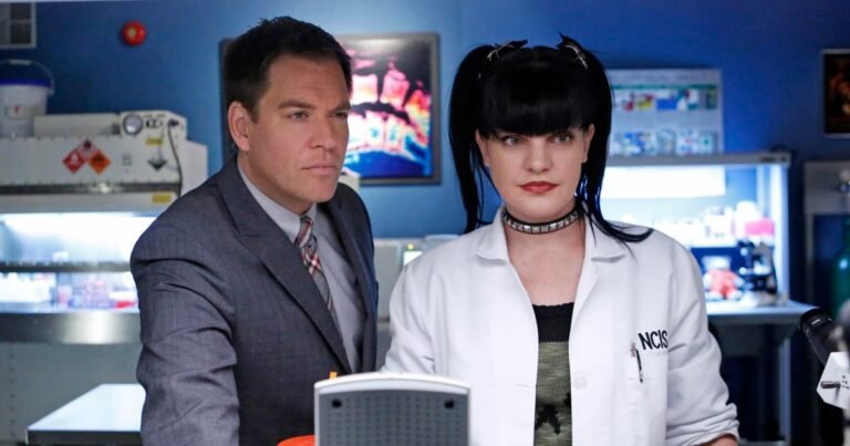 Inside Pauley Perrette’s Life Outside of Hollywood: Where Is She Now?
