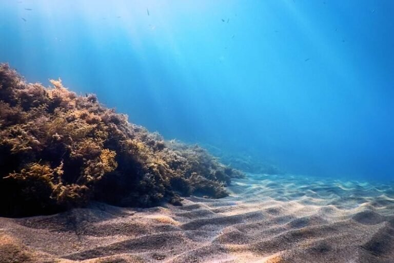 Clean the Sky – Seawater Desalination Projects