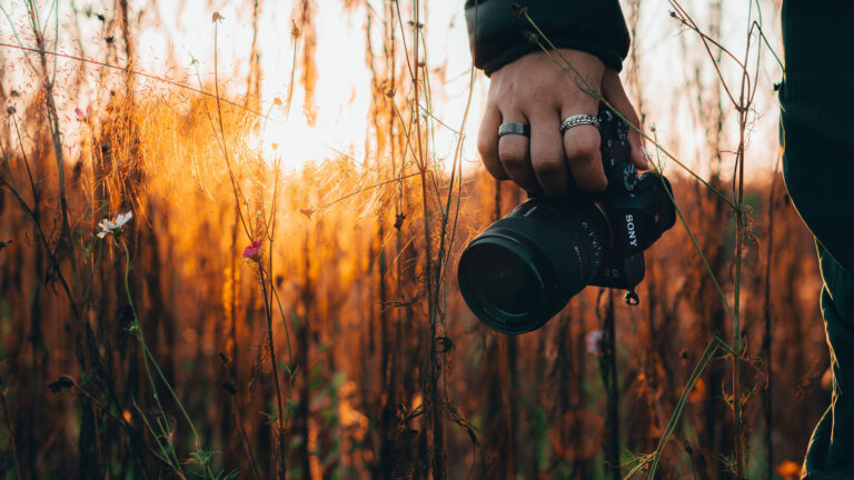 Five all-around cameras to get secondhand in 2025